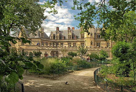 brown mansion surrounded green trees thumbnail
