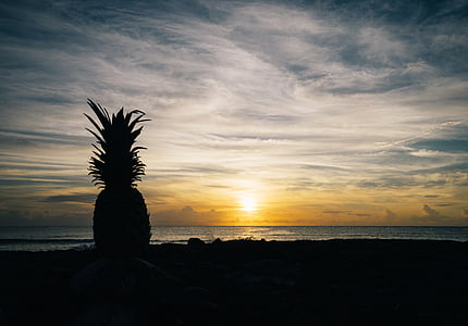 pineapple silhouette thumbnail