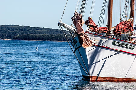 white and brown boat thumbnail