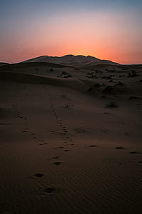 footprints on desert during golden hour thumbnail
