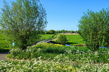 bridge between grass field under calming sky thumbnail
