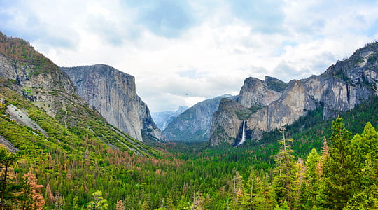 mountain surrounded with trees at daytime thumbnail