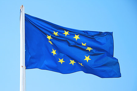 Flag of European Union thumbnail