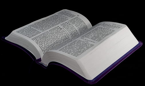 photo of opened bible thumbnail