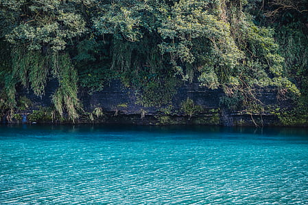 rock formation covered with plants near body of water thumbnail