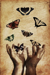 assorted butterflies and human hands painting thumbnail