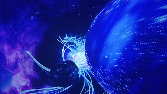 blue and white digital wallpaper thumbnail