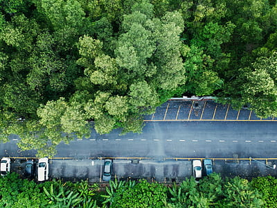 aerial photography of vehicle parking near roadway and trees thumbnail