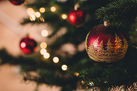 close up photo of bauble hanged on Christmas tree thumbnail