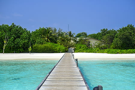 Brown Wooden Dock thumbnail