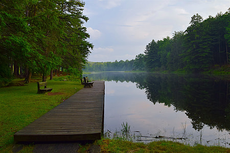 brown wooden dock beside lake surrounded by trees thumbnail