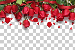 Love song Romance , Red roses background, red roses PNG clipart