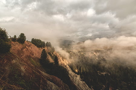 sky, clouds, forest, trees thumbnail