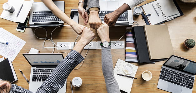 group of people fist bumps thumbnail