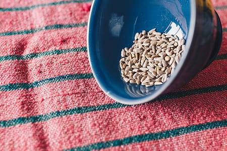 Brown Seeds On Blue Ceramic Bowl thumbnail