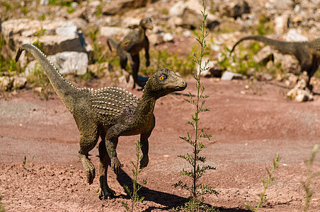 dinosaur beside plant thumbnail
