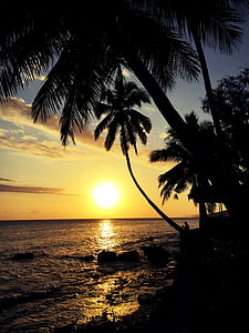 person sitting near palm sea viewing body of water thumbnail