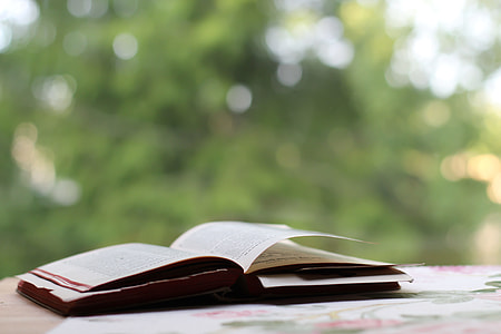 opened book on table thumbnail
