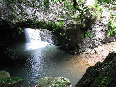 Gold Coast Hinterland, Natural Bridge thumbnail