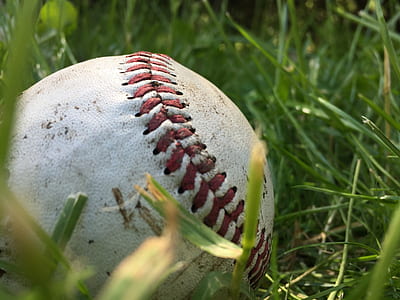 white baseball on grass thumbnail