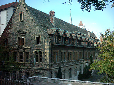 The college Calvin thumbnail