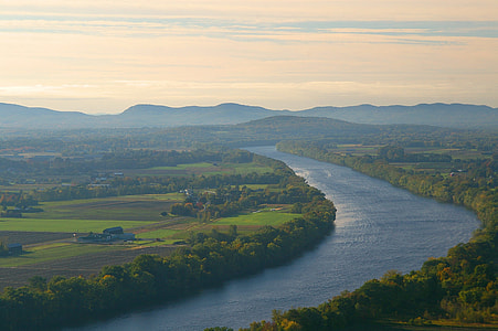 aerial photography of river and trees at daytime thumbnail