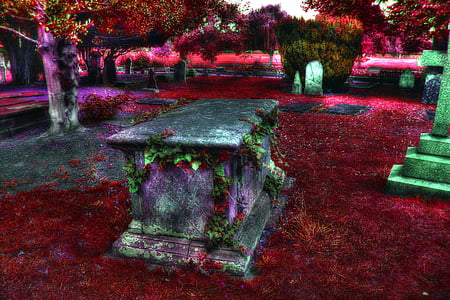tomb stone with red grass field thumbnail