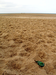 green and black turtle plush toy on sand thumbnail