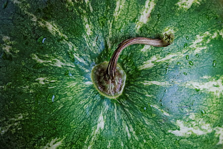 healthy, fruit, watermelon thumbnail