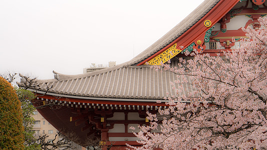 red and white pagoda temple thumbnail