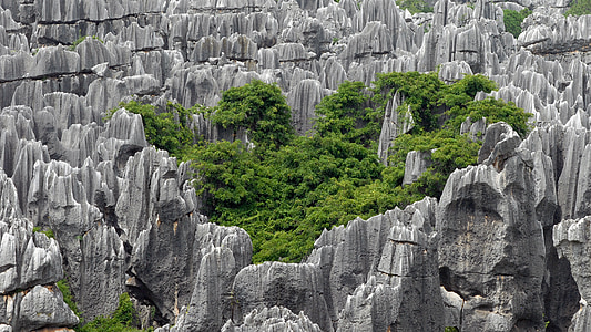 aerial photography of green leaf trees surrounded by rock formations thumbnail