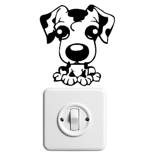 white electric switch thumbnail