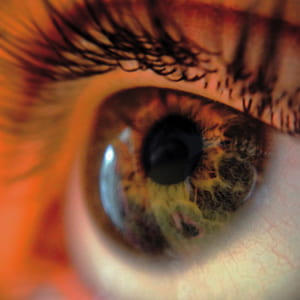 eye, macro, close-up, eyelashes thumbnail