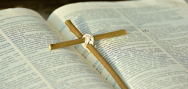 brown cross stick on top of bible book thumbnail