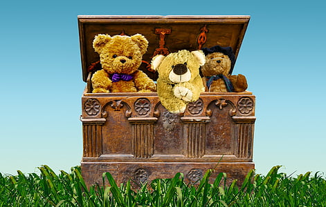 teddy bears inside hope chest thumbnail