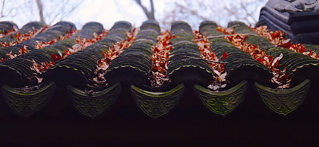 brown and black roof with dried leaves thumbnail
