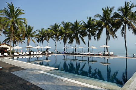swimming pool with palm trees on side and sunloungers thumbnail