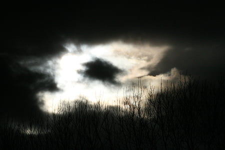 silhouette photo of grass against sky thumbnail