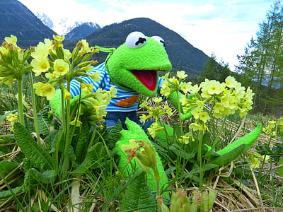 Kermit the Frog on green grass thumbnail