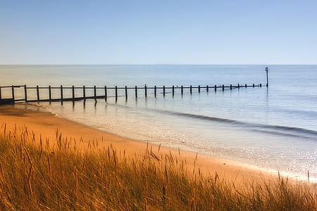 Green Grass Near Shoreline Beside Sea Under Blue Sky thumbnail