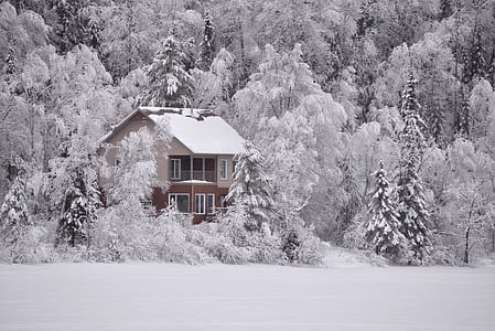 brown and white painted house thumbnail