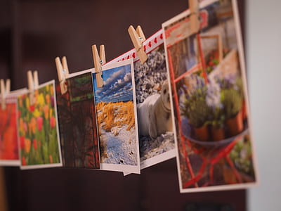 art, creative, hanging, photos thumbnail