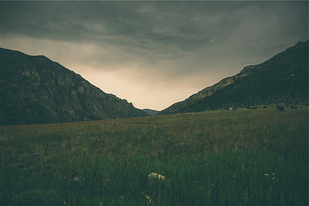 green grass field during nighttime thumbnail