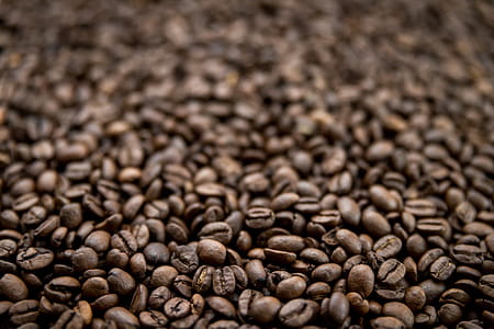 A shallow depth-of-field image of coffee beans thumbnail
