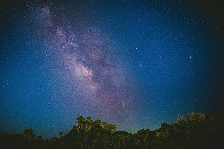 green leafed trees during night thumbnail