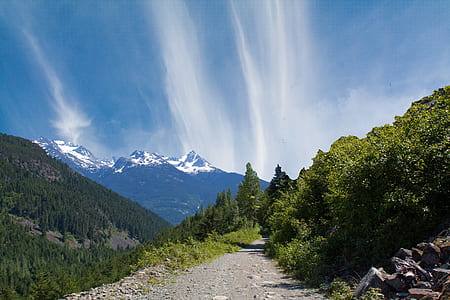 landscape photograph of forest on hills thumbnail