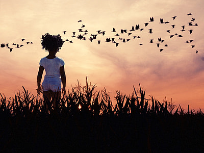 girl standing on silhouette of grass watching birds during golden hour thumbnail