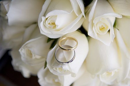silver and gold band rings thumbnail
