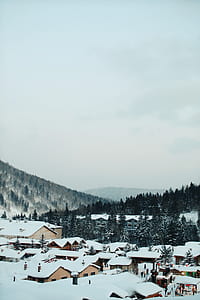houses roof covered with snow during winter season thumbnail