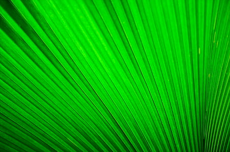 green pinstripe textile thumbnail
